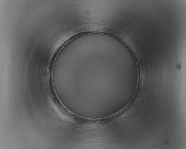 X0000111830674200907301320