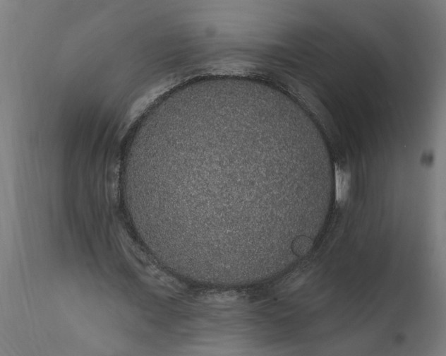 X0000111830675200907301320