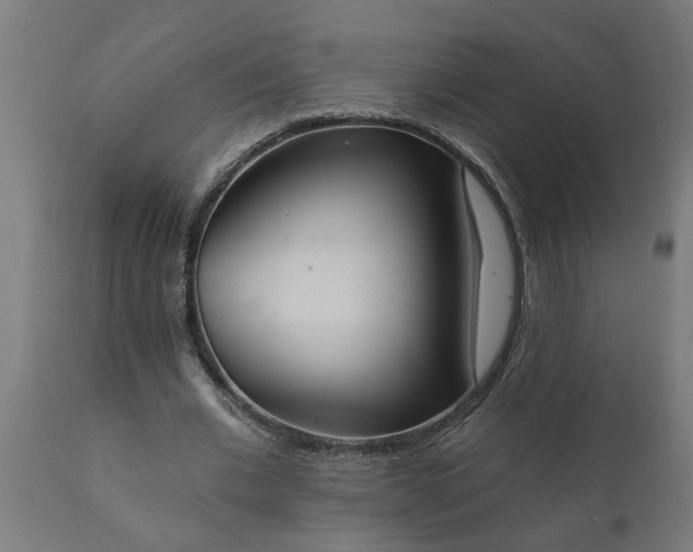 X0000111830677200907301320