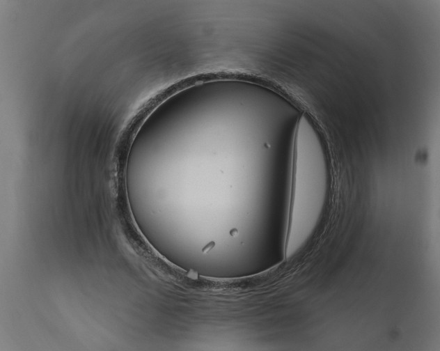 X0000111830680200907301320