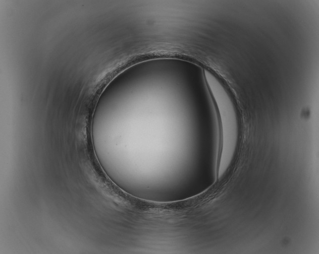 X0000111830681200907301320