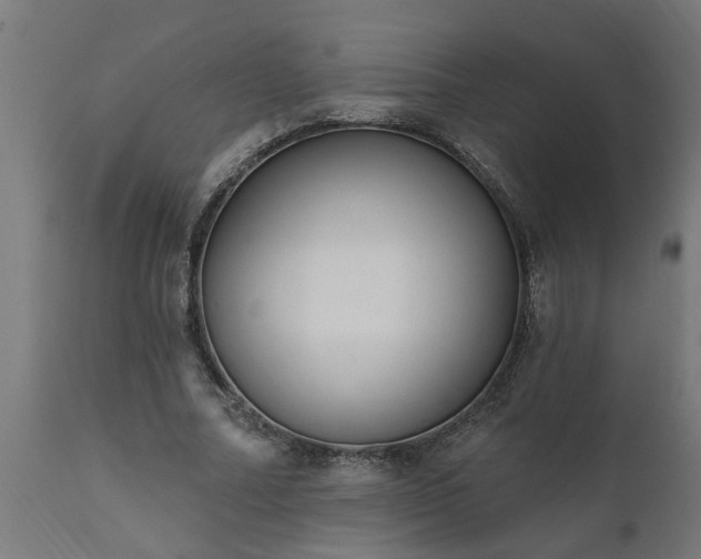 X0000111830682200907301320