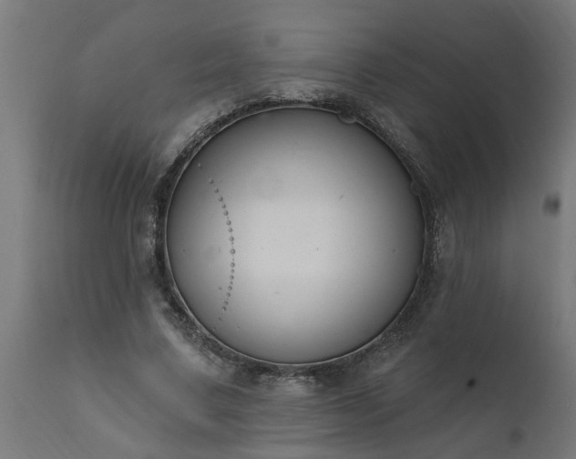 X0000111830683200907301320