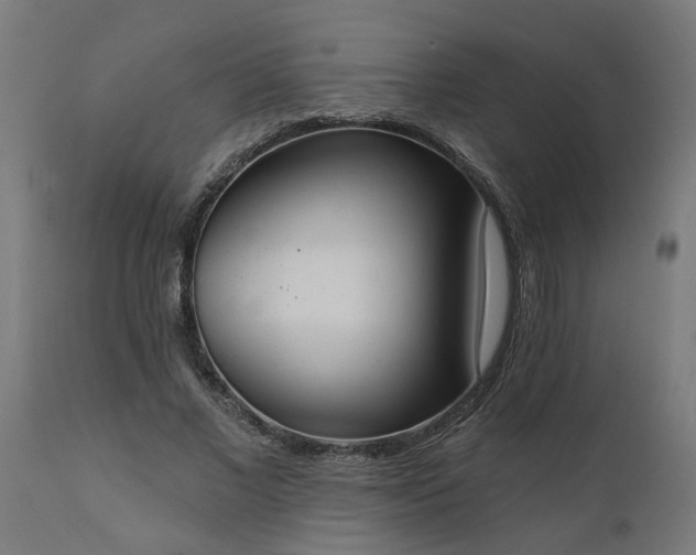 X0000111830685200907301320