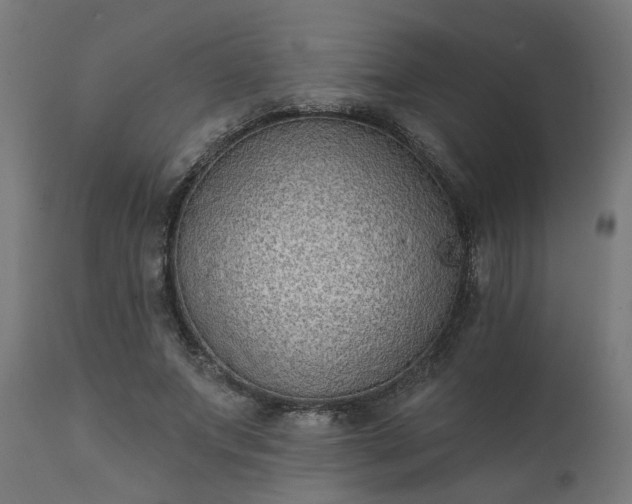 X0000111830687200907301320