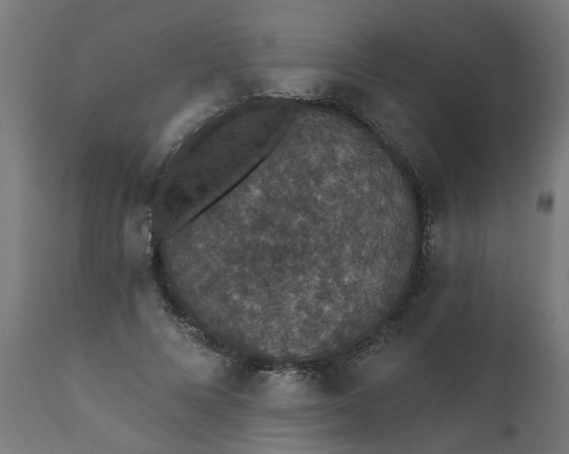 X0000111830688200907301320