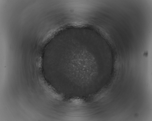 X0000111830689200907301320