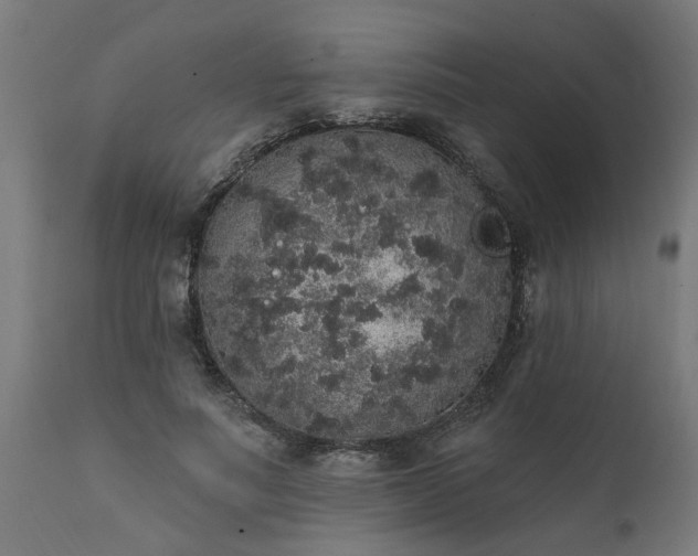 X0000111830691200907301320