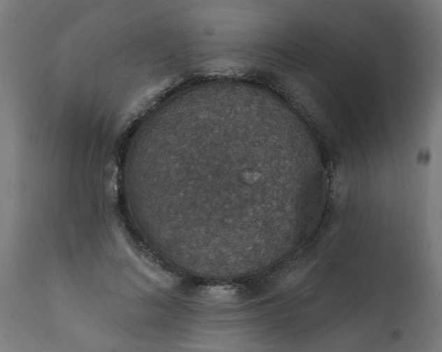 X0000111830692200907301320
