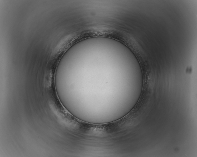 X0000111830694200907301320