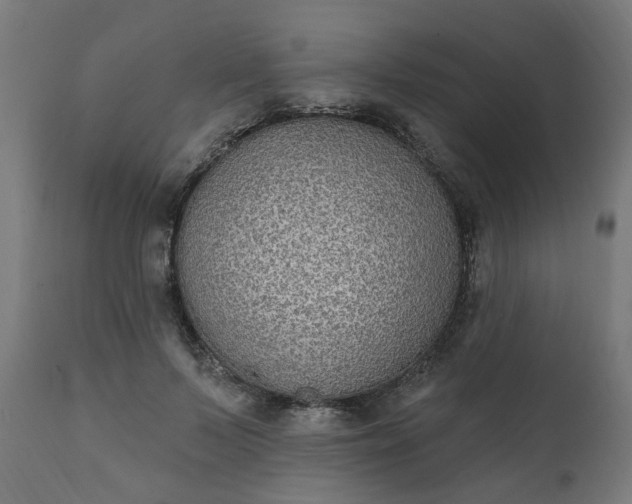 X0000111830695200907301320