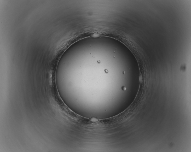 X0000111830696200907301320