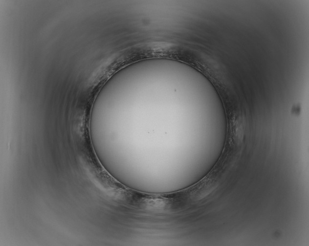 X0000111830698200907301320