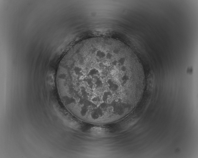 X0000111830699200907301320