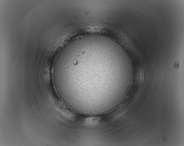 X0000111830700200907301320