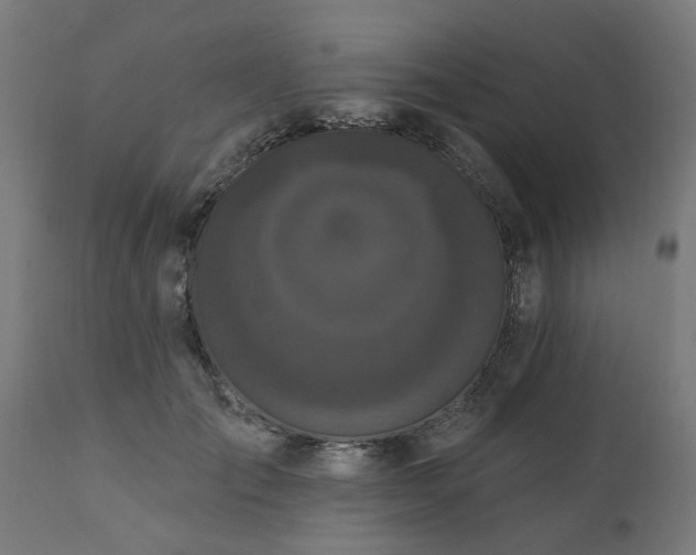 X0000111830701200907301320
