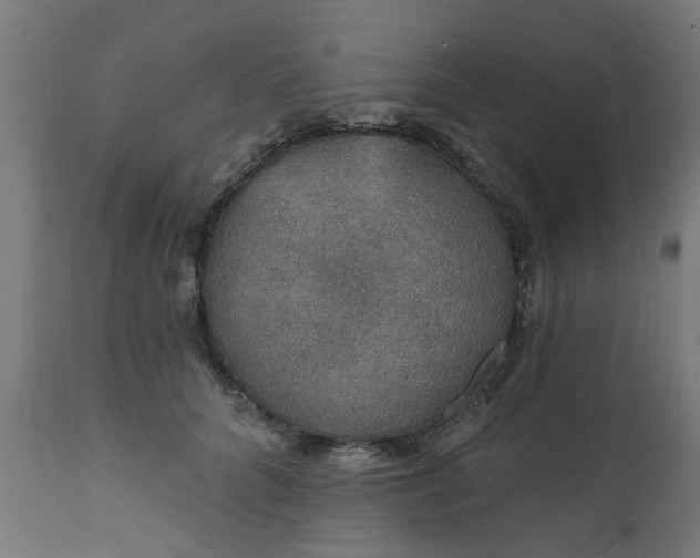X0000111830704200907301320