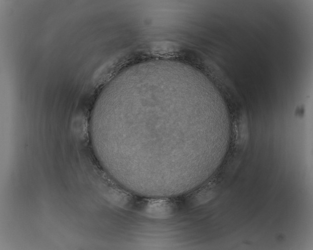 X0000111830705200907301320