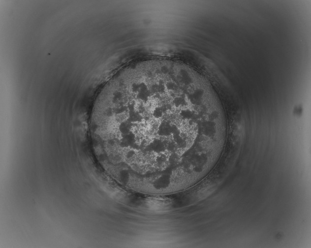 X0000111830707200907301320
