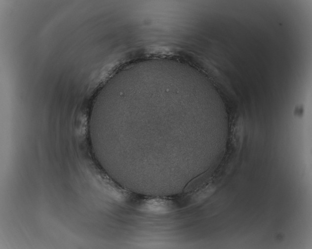 X0000111830708200907301320