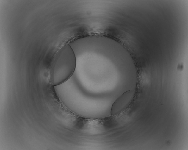 X0000111830709200907301320