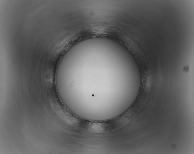 X0000111830710200907301319