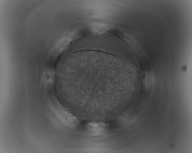 X0000111830712200907301319