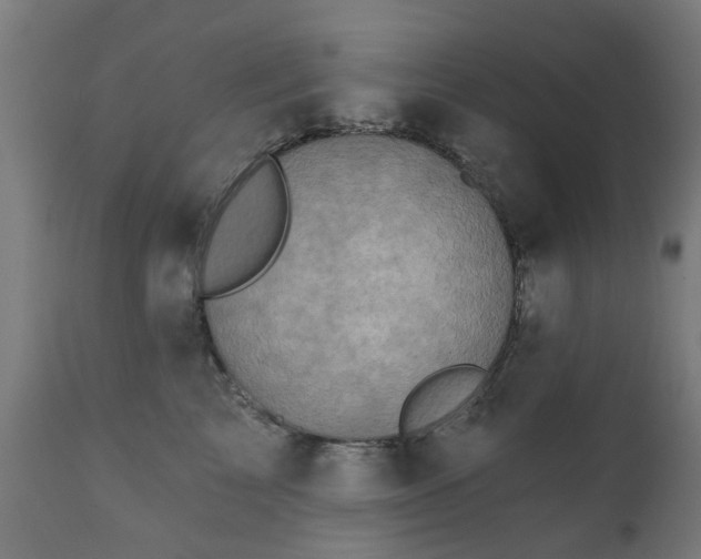 X0000111830713200907301319