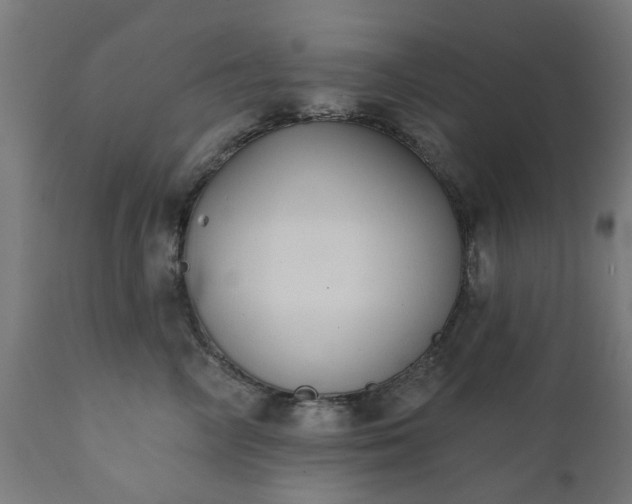 X0000111830714200907301319