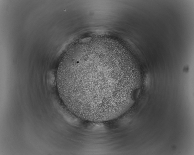 X0000111830715200907301319