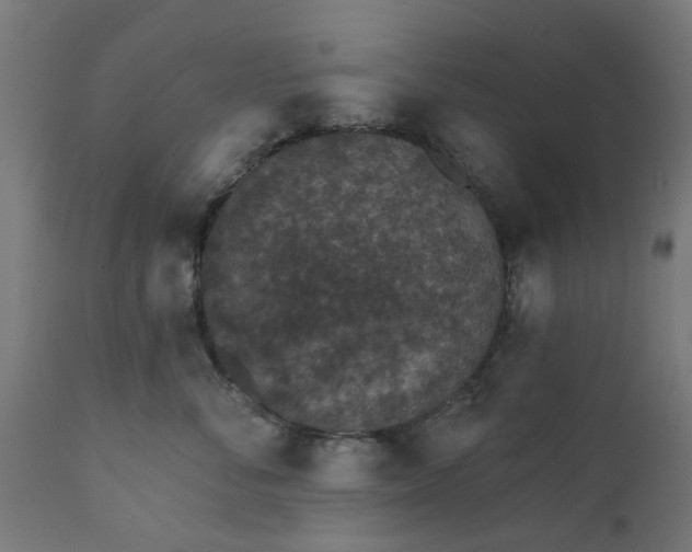 X0000111830716200907301319