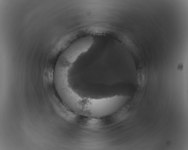 X0000111830718200907301319