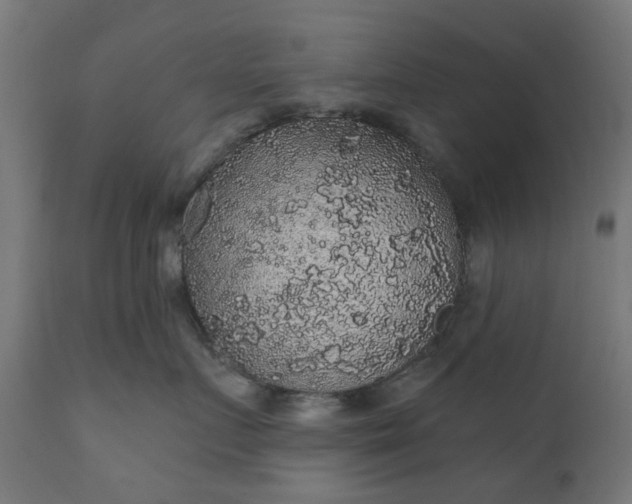 X0000111830719200907301319