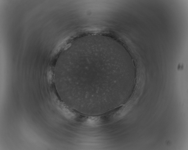 X0000111830720200907301319