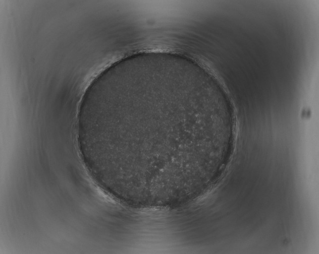 X0000111830721200907301319