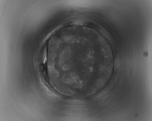 X0000111830722200907301319