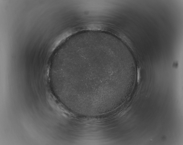X0000111830723200907301319