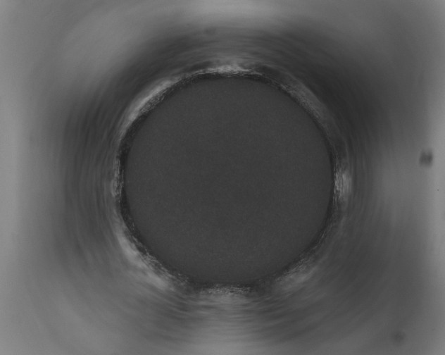 X0000111830724200907301319