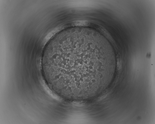 X0000111830725200907301319