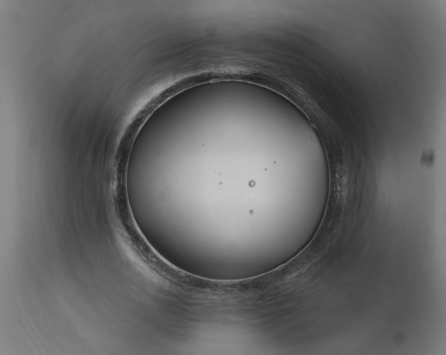 X0000111830726200907301319