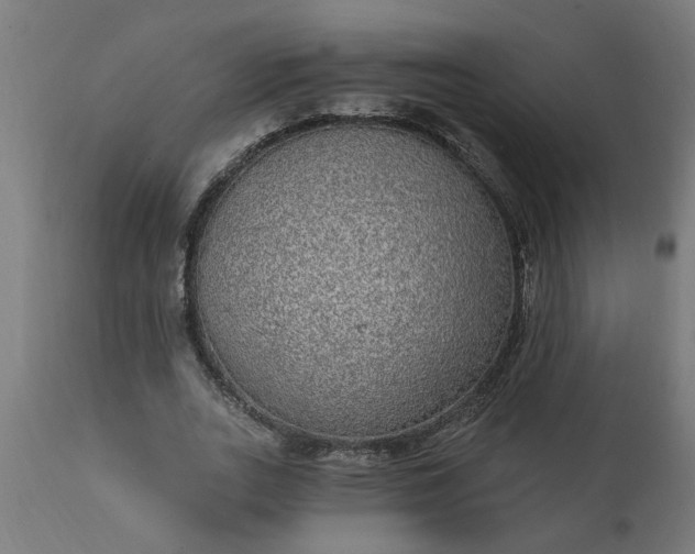 X0000111830727200907301319