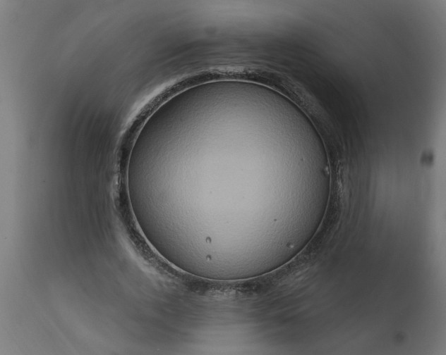 X0000111830728200907301319