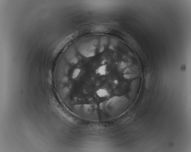 X0000111830729200907301319