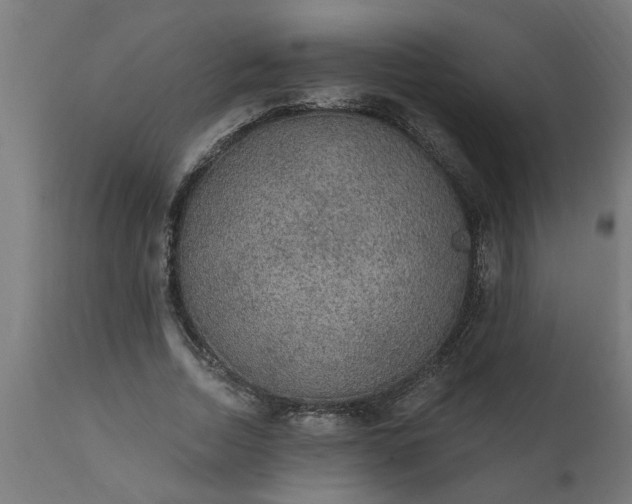 X0000111830730200907301319