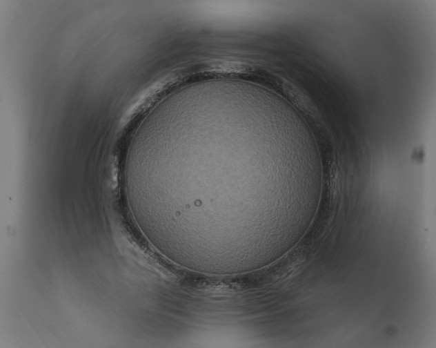 X0000111830731200907301319