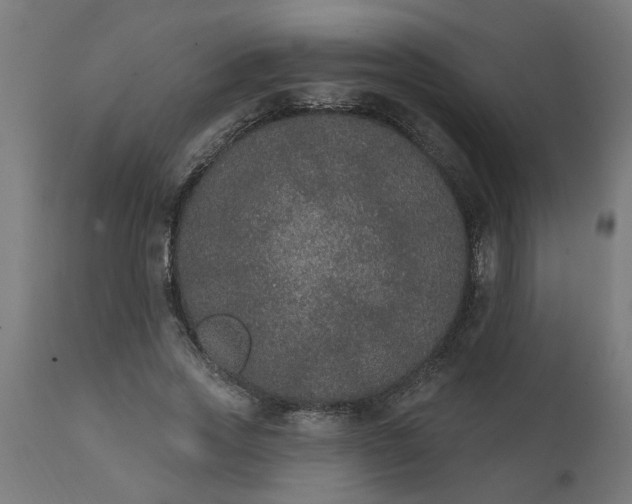 X0000111830733200907301319