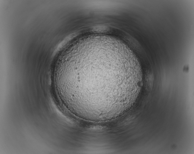 X0000111830734200907301319