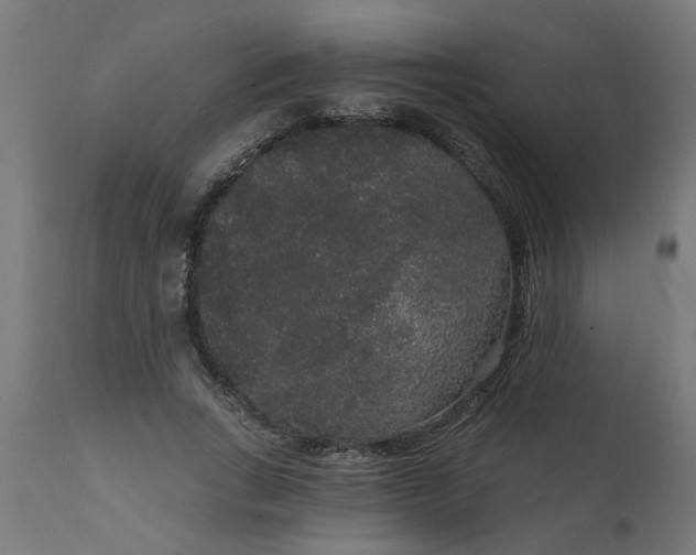 X0000111830735200907301319