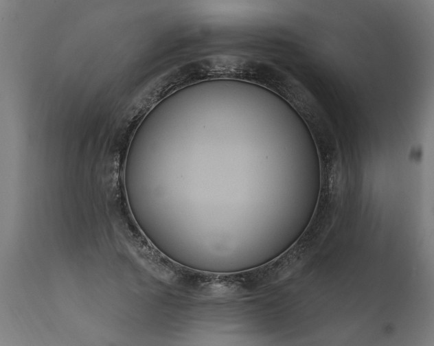 X0000111830737200907301319