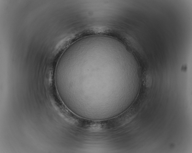 X0000111830740200907301319